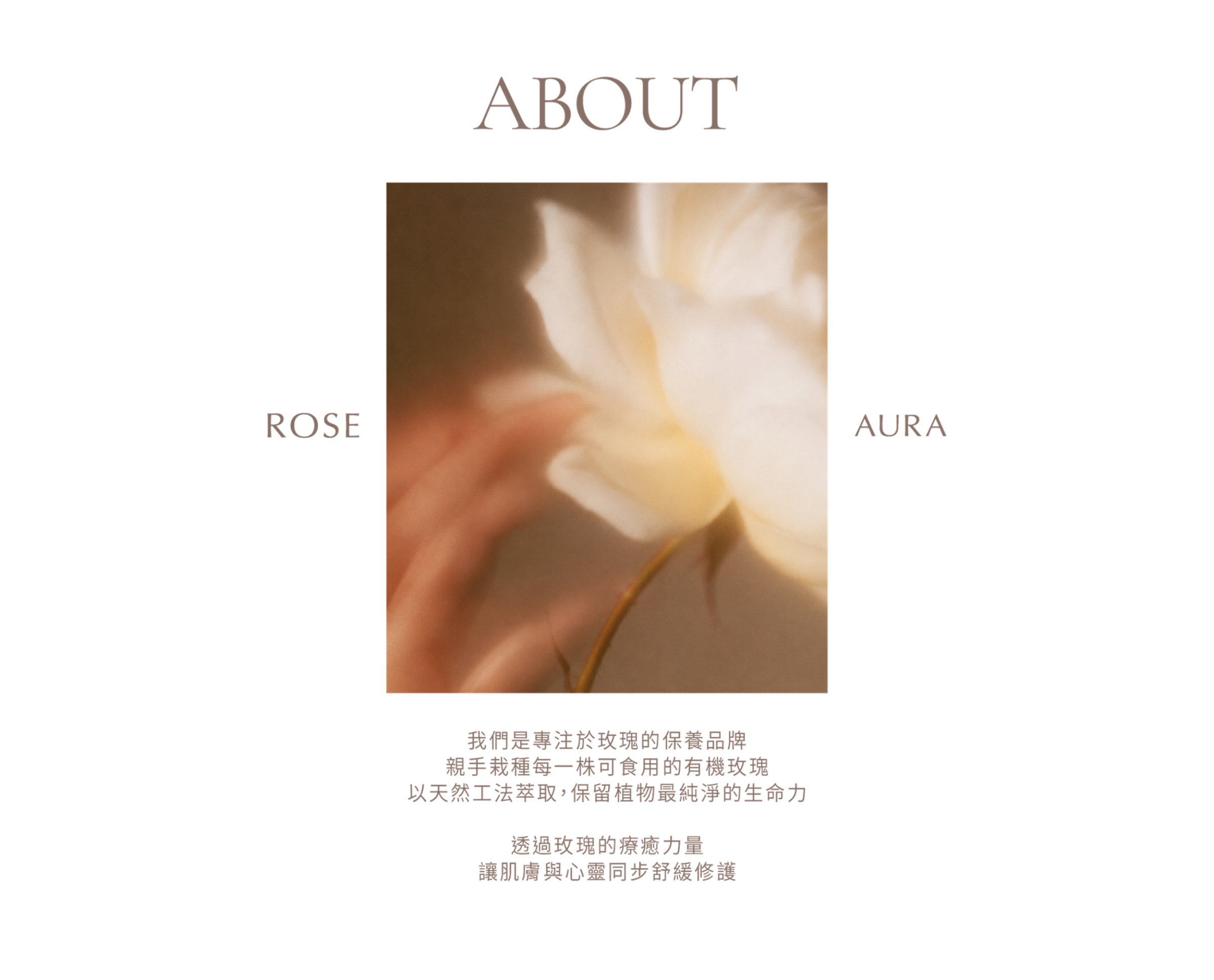 page02_About_brand_about_b1