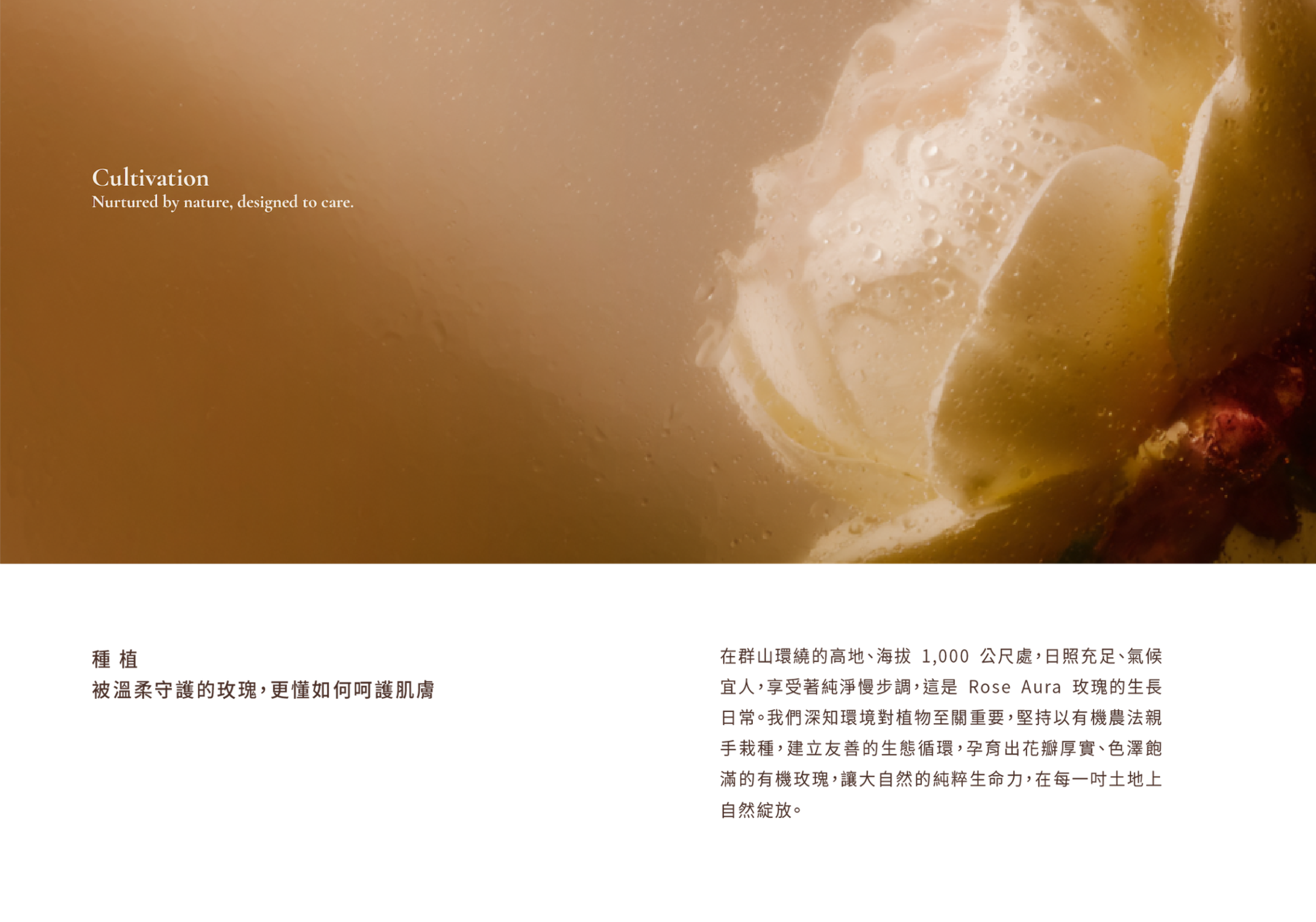 page02_About_brand_about_b2